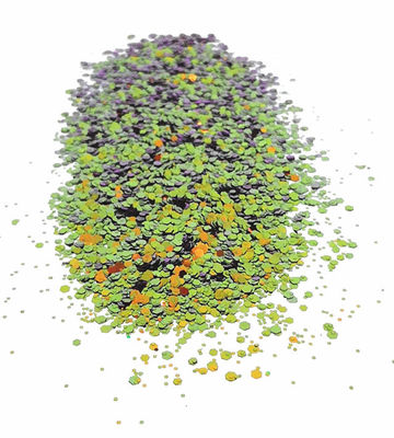 1kg Mixed Chunky Color Shifting Glitter Chameleon Polyester Craft Glitter Powder in Vibrant Colors for Crafts and DIY