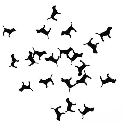 Unique Aries Sign Virgo Taurus Party Supplies Glitter Badge Shaped with Dinosaur Dog Balloon Arrows and Other Decorations