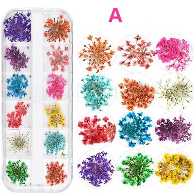 OEM ODM Advantage Customized Manufacture Dry Flower for Arrangements
