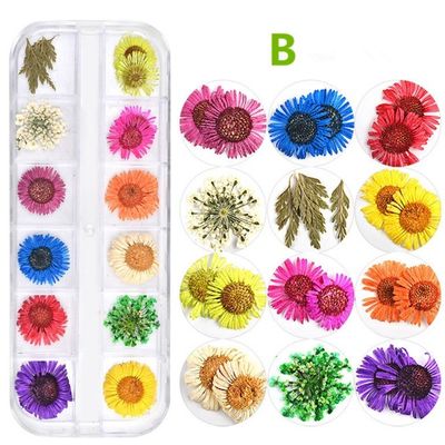 OEM ODM Advantage Customized Manufacture Dry Flower for Arrangements