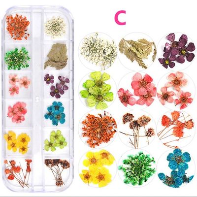 OEM ODM Advantage Customized Manufacture Dry Flower for Arrangements